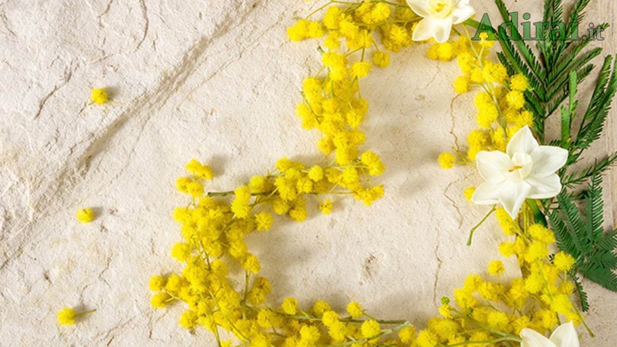 8 Marzo Festa Della Donna Tra Mimose E Mascherine I Rischi