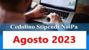 noipa cedolino stipendi pa agosto 2023