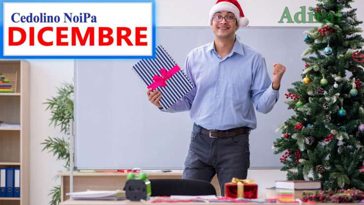 noipa cedolino stipendi pa di dicembre